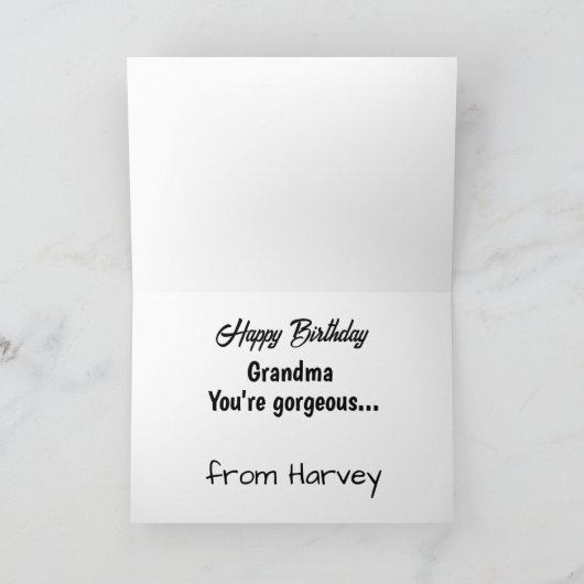 Hilarisch idee van je Basset Hound Birthday Kaart (Binnen)