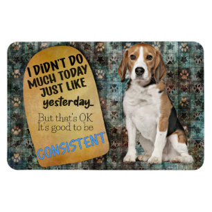 Hilarisch idee van je Beagle Magnet Magneet
