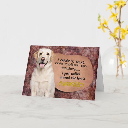 Hilarisch idee van je Labrador Birthday Kaart (Gele Bloem)