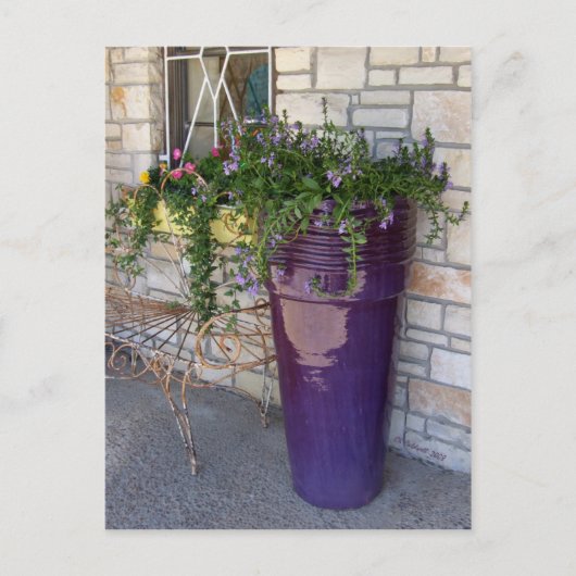 Hill Country Sidewalk Briefkaart (Voorkant)