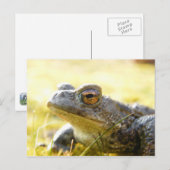 Hill End Toad Briefkaart (Voorkant / Achterkant)
