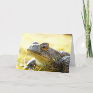 Hill End Toad Kaart