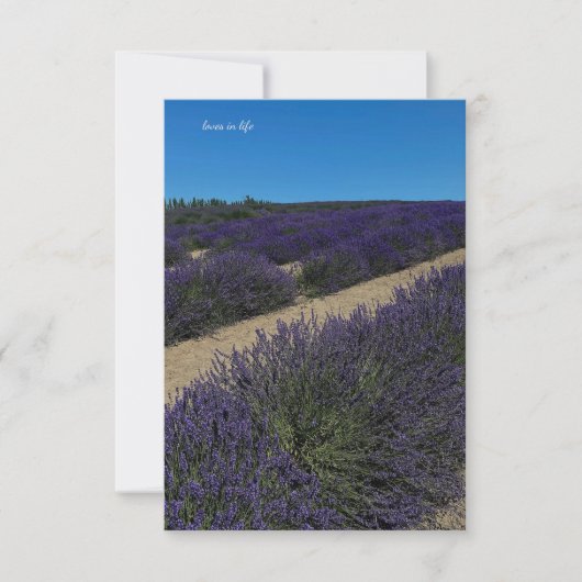Hill of Lavender Rows Notitiekaartje (Voorkant)