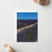 Hill of Lavender Rows Notitiekaartje (Voorkant / Achterkant in situ)
