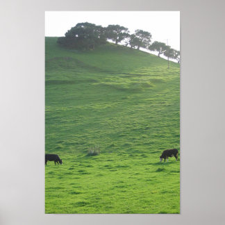 Hills op 227 poster