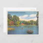 Hillsborough River Tampa Florida scène Briefkaart (Voorkant / Achterkant)