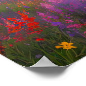 Hillside Blooms Poster (Hoek)