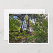 Hillside Briefkaart (Voorkant / Achterkant)