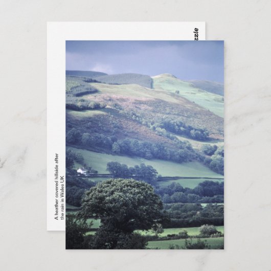 Hillside in Wales briefkaart UK (Voorkant / Achterkant)