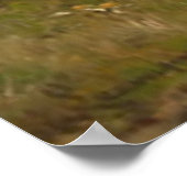 Hillside Landscape met Sheep en Shepherdess Poster (Hoek)