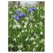 Hillside of Early Spring Flowers Landscape Klembord (Achterkant)