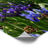 Hillside of Early Spring Flowers Landscape Poster (Hoek)