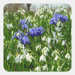 Hillside of Early Spring Flowers Landscape Vierkante Sticker