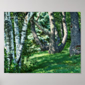 Hillside Trees Poster (Voorkant)