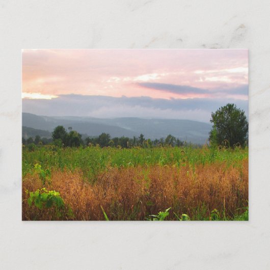 Hilltop bij Sunset Briefkaart (Voorkant)