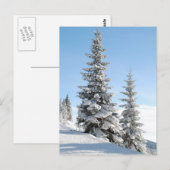 Hilltop bomen briefkaart (Voorkant / Achterkant)