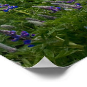 Hilltop Church Poster (Hoek)