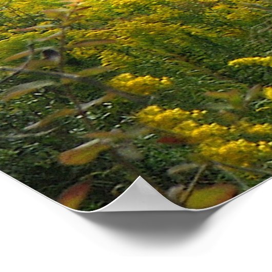 Hilltop House Poster (Hoek)