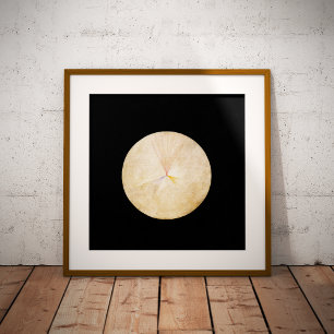 Hilma af Klint, De zwaan nr. 14, Abstracte kunst Foto Afdruk