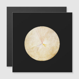 Hilma af Klint, De zwaan nr. 14, Abstracte kunst Magnetische Uitnodiging
