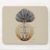 Hilma af Klint - Kennisboom, nr. 3 Muismat (Voorkant)