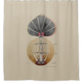 Hilma af Klint - Tree of Knowledge, nr. 3 Douchegordijn (Voorkant)