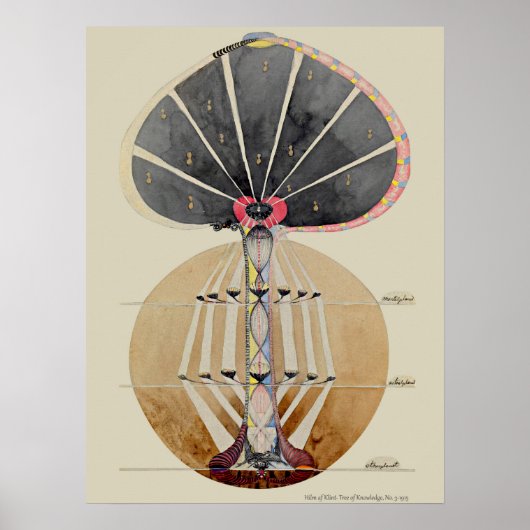 Hilma af Klint - Tree of Knowledge, nr. 3 Poster (Voorkant)