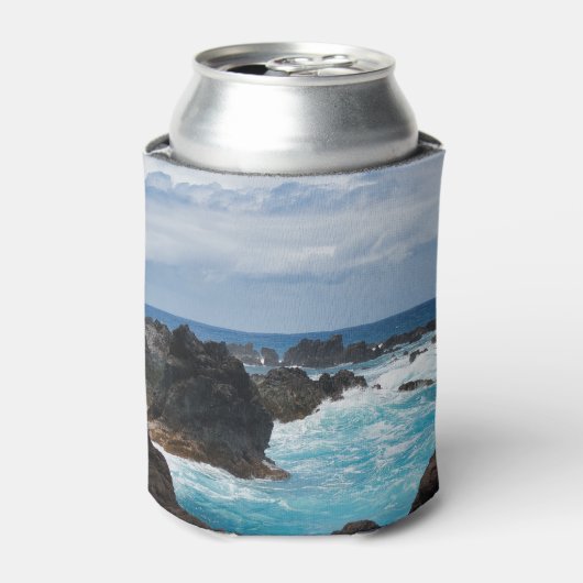 Hilo Hawaii Glacière (Can devant)