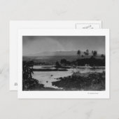 Hilo, Hawaii - Uitzicht van de stadfoto Briefkaart (Voorkant / Achterkant)