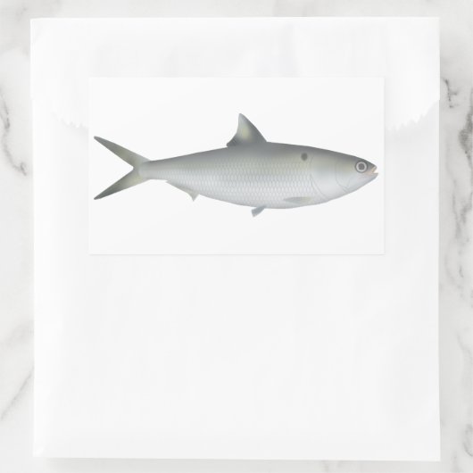 Hilsa Shad Rechthoekige Sticker (Tas)