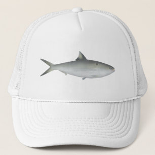 Hilsa Shad Trucker Pet
