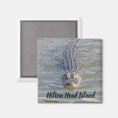 Hilton Head Alligator Magnet Magneet (Voorkant / Achterkant)