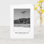 Hilton Head Island Kaart (Gele Bloem)