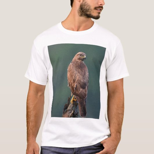 Himalaya Buzzard, donkere/ruftige morf, jonge volw T-shirt (Voorkant)
