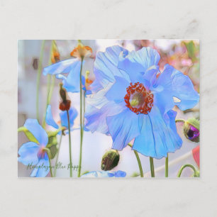 Himalayan Blue Poppy [Ansichtkaart] Briefkaart