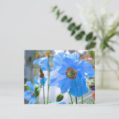 Himalayan Blue Poppy:Briefkaart Briefkaart (Staand voorkant)