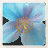 Himalayan Blue Poppy Floral Glazen Onderzetter (Voorkant)