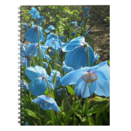 Himalayan Blue Poppy-laptop met 80 pagina's Notitieboek