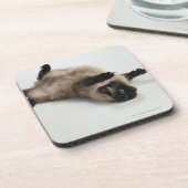 Himalayan Cat Lying op zijn rug Bier Onderzetter (Linkerzijde)