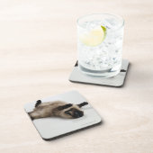 Himalayan Cat Lying op zijn rug Bier Onderzetter (Rechterzijde)