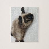 Himalayan Cat Lying op zijn rug Legpuzzel (Verticaal)