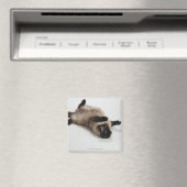 Himalayan Cat Lying op zijn rug Magneet (Insitu (Vaatwasser))