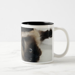 Himalayan Cat Lying op zijn rug Tweekleurige Koffiemok