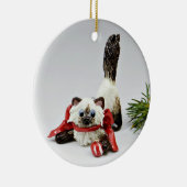 Himalayan Cat Sealpoint Ceramic Ornament (Rechts)