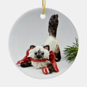 Himalayan Cat Sealpoint Ceramic Ornament (Voorkant)