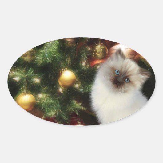 Himalayan kitten Kerstmis Ovale Sticker (Voorkant)