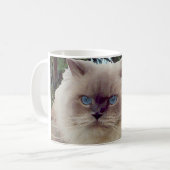 Himalayan Persian Cat Koffiemok (Voorkant links)