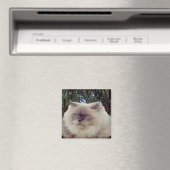 Himalayan Persian Cat Magneet (Insitu (Vaatwasser))