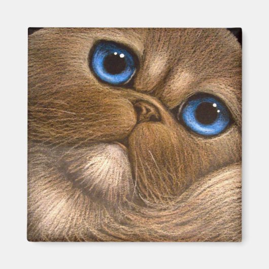 HIMALAYAN PERSIAN CAT Magnet (Devant)