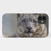 Himalayan Prince iPhone 5 Case-Mate Case (Achterkant (horizontaal))